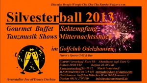 Silvesterfeier 2013/2014